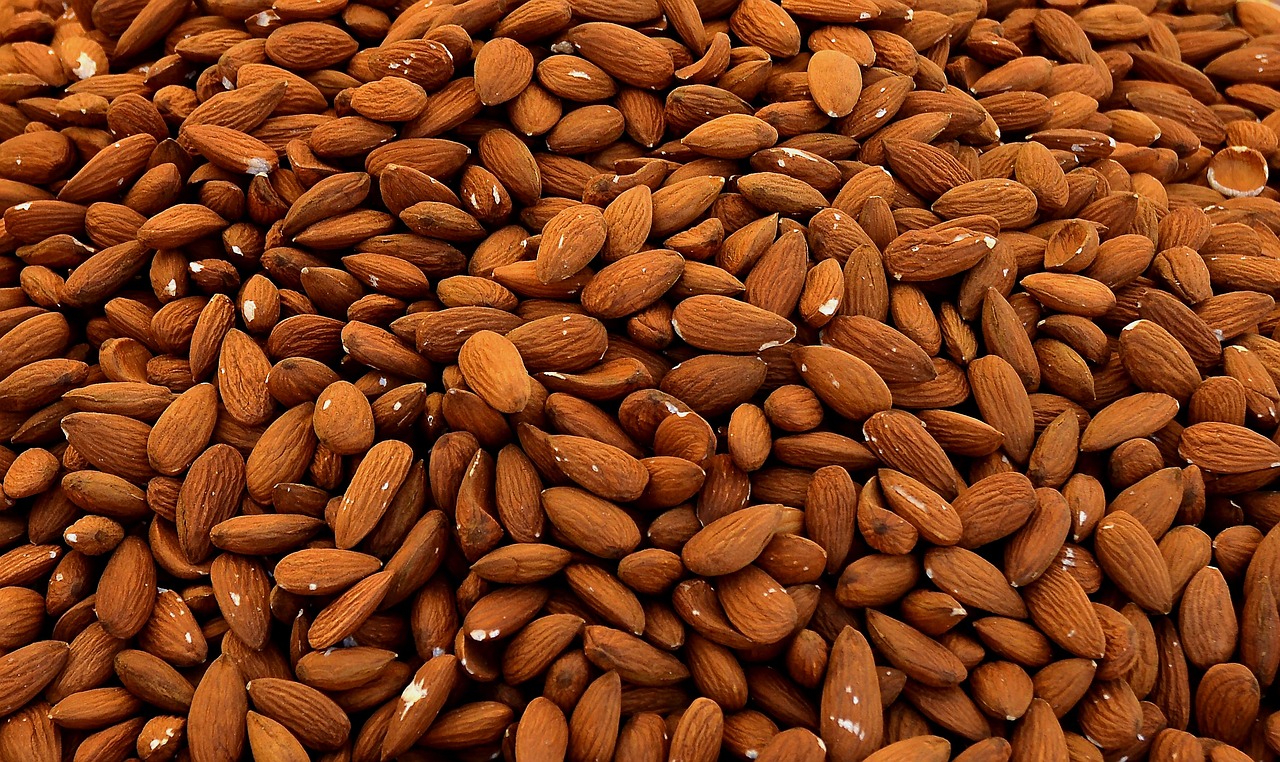 Amandes naturelles  BIO