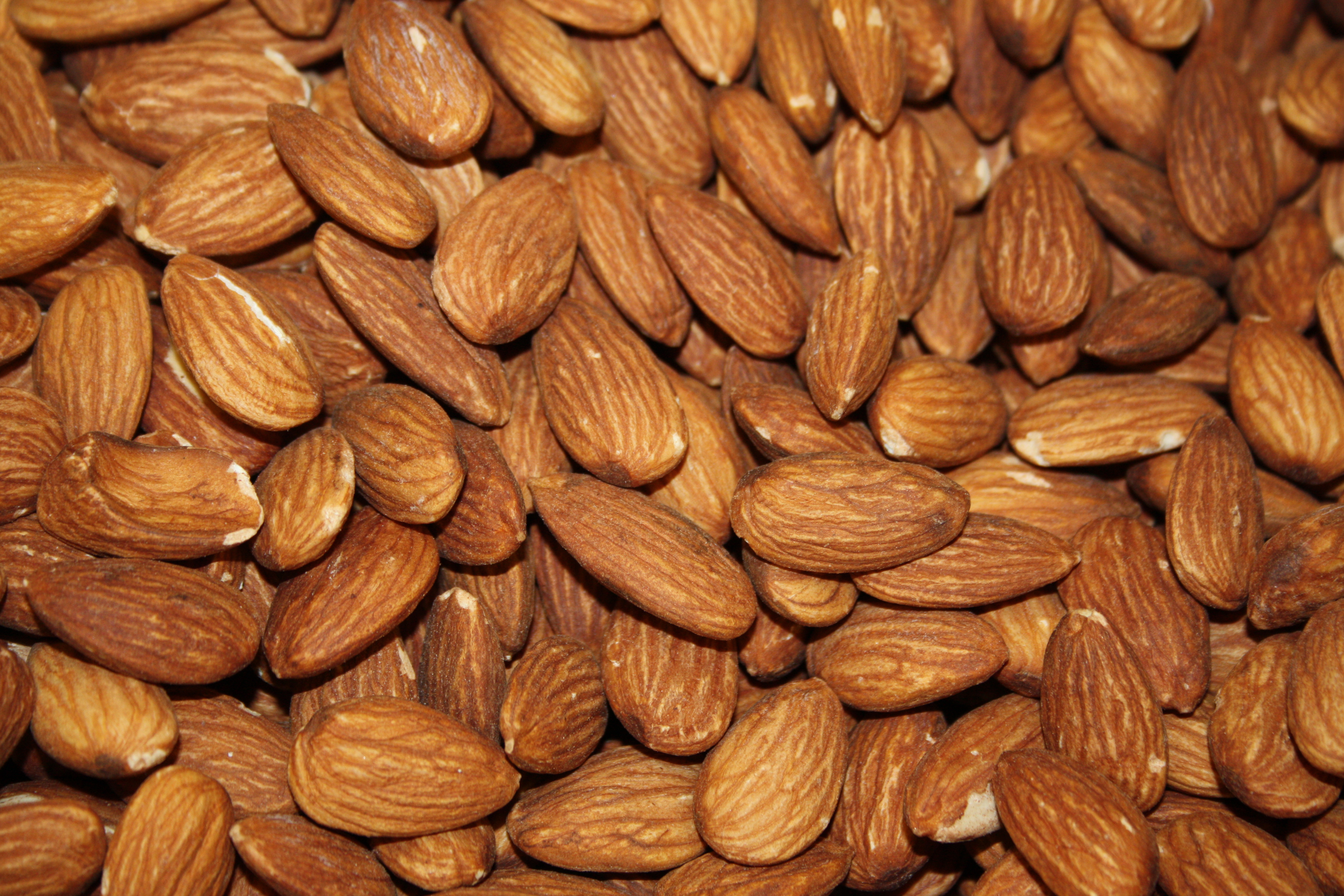 Amandes rôties non salées