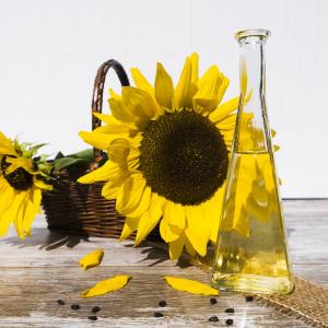huile-de-tournesol