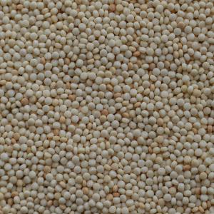 couscous-de-jerusalem