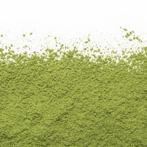 the-matcha-camellia-sinensis